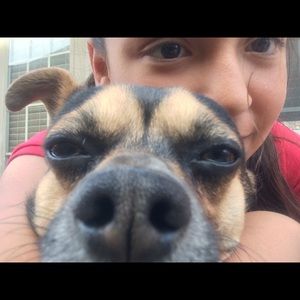 Meet your Posher, Bella